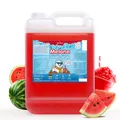 Belissia Slush Eis Sirup 5L Konzentrat - Wassermelone - für Slush-Eis & Wasserei