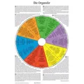 Die Organuhr