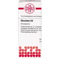 DHU-Arzneimittel GmbH & Co. KG OKOUBAKA D 4 Globuli 10 g
