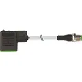 Murrelektronik M12-Stecker 7000-40961-2260060