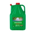Grünbelagentferner Algenentferner Reinigungsmittel 5 Liter Moosentferner