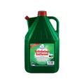 Robbyrob Grünbelagsentferner gebrauchsfertig 5L