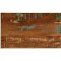 vidaXL Tischplatte 60x20x3,8 cm Rechteckig Altholz Massiv 371086