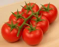 Kirsch-Tomaten Philovita F1 Samen – Süße Mini-Tomaten für den Anbau