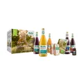 Biotta Wellness Woche 5500 ml