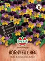 SPERLI Hornveilchensamen Johnny Jump Up Viola x cornuta 80 Pflanzen
