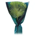 Bio Green Palmenschutz Höhe 150 cm Stamm Ø bis 35 cm