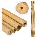 Relaxdays - Bambusstäbe 150cm, Aus Natürlichem Bambus, 25 Stück, Bambusstangen Als Rankhilfe Oder Deko, Zum Basteln, Natur
