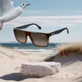 Carrera 5039 S 02OS/HA Havana Matte Black Sonnenbrille Neu/OVP