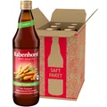 Rabenhorst Gartenmöhre BIO 6er Pack (6 x 700 ml)