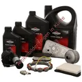Briggs u. Stratton OELABLASSTOPFEN  | 691686 | 024847237245