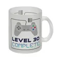 30. Geburtstag Glas Tasse mit lustigem Spruch: Level 30 eine Tasse als ausgefallenes Geburtstagsgeschenk zum 30 für den runden Geburtstag für Frauen und Männer Glas Tasse Der Glas