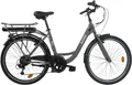 LLobe E-Bike Cityrad City E-Bike 26" Mando anthrazit, 6 Gang Shimano Tourney Schaltwerk, Kettenschaltung, Heckmotor, 280,8 Wh