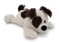 Nici Kuscheltier Hund weiß/braun liegend 20 cm Stoffhund