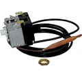 Wolf Sicherheitsremperaturbegrenzer 110Gr C