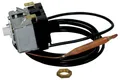 Wolf Sicherheitsremperaturbegrenzer 110Gr C
