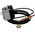 Wolf Sicherheitsremperaturbegrenzer 110Gr C