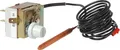 Wolf STB Sicherheitstemperaturbegrenzer Regelung R 11 12 16 18 8902435 2792001