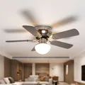 Deckenventilator Deckenleuchte Beleuchtung Flügel Buche Graphit Zugschalter