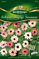 Schwarzäugige Susanne "Pastellmischung"  Samen  Quedlinburger