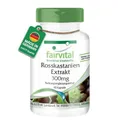fairvital Rosskastanien-Extrakt 300mg, 90 Kapseln, schluckfreundlich, HOCHDOSIERT mit 20% Aescin, Aesculus hippocastanum, VEGAN