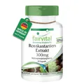 RosskastanienExtrakt 300mg, 90 Kapseln, schluckfreundlich, HOCHDOSIERT mit 20...