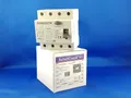 SchellCount63  Allstromsensitiv Typ B FI-Schutzschalter 63A/ 0,3A 300mA 4-polig
