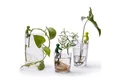 PELEG DESIGN® Anzuchttopf Leafriend Anzuchthelfer 3-er Set