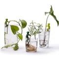 PelegDesign Leafriend Anzuchthelfer 3-er Set 17514
