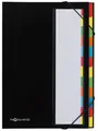 PAGNA Ordnungsmappe DESKORGANIZER Color DIN A4 12 Fächer schwarz
