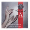 Il Cannone Vn A Sol. D&F