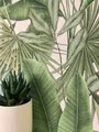 Newroom Vliestapete Bamba Green Tapete Mustertapete Dschungel,Palmen,Blätter, Grün Tapete Modern Dschungel - Mustertapete Blumentapete Weiß Tropisch Floral Palmen Blätter für Schlafzimmer Wohnzimmer Küche, Blumentapete