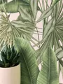 Tapete Vliestapete Grün Dschungel Palmen Blätter Mustertapete Blumentapete
