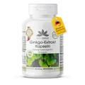Ginkgo Biloba Extrakt 95mg - mit Flavonen und Lactonen - vegan - 90 Kapseln - schluckfreundlich | HERBADIREKT by Warnke Vitalstoffe - Deutsche Apothekenqualität