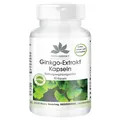 Ginkgo Biloba Extrakt 95mg - 90 Kapseln