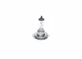 10x Glühlampe, Fernscheinwerfer BOSCH 1 987 301 057 für ABARTH ALFA ROMEO