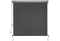 Sol Royal Markise Senkrechtmarkise MS5 Markise SolVision MS5, 180x250cm, Anthrazit Abnehmbare Handkurbel Wasserabweisender Sonnenschutz Vertikalmarkise