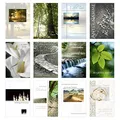 Edition Seidel Set 12 einfühlsame Trauerkarten/Beileidskarten mit Umschlag. Trauerkarte Beileidskarte mit Spruch schreiben (Doppelkarten/Klappkarten mit Briefumschlag (20036)