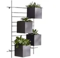 Home-trends24.de Wanddekoobjekt Wandpflanzer Schwarz Pflanzer Blumen Übertopf Wand Deko Gefäss Regal
