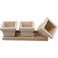 576260 Create Craft Blumentopf-Set – 27 x 9 x 9 cm – Empress Tree, 1 Set