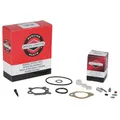 498260 original Briggs & Stratton Vergaserreparatursatz für Vergaser 493762