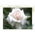 CALVENDO Puzzle Rose 'Gruß an Aachen' 1000 Teile Lege-Größe 64x48cm Foto-Puzzle für glückliche Stunden