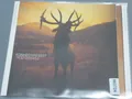 KOSHEEN <  Resist  > VG (CD)