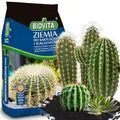 BIOVITA 5L Kakteen und Sukkulenten, Spezial - Substrat, Mehrkomponentensubstrat Pflanzenerde Gebrauchsfertig Erde Natürlichen Ur