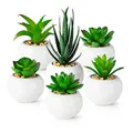 ® 6er Set Künstliche Sukkulenten in Weißen Keramiktöpfen Deko Pflanzen für Wo...