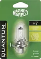 Quantum Energy Magneti Marelli H7 Autolampe mit langer Lebensdauer, 12 V, 55 W, PX26D-Anschluss