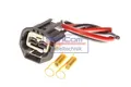SENCOM Reparatursatz Kabelsatz 20265 Hinten für RENAULT Scénic III (JZ0/1) CuSn