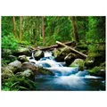 Wallarena Fototapete, Mehrfarbig, Papier, Baum/Pflanze/Natur, Rechteckig, 400x280 cm, FSC 100%, Tapeten & Wandverkleidungen, Fototapeten