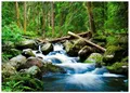 Fototapete Wasserfall mit Wald 3D Effekt Grün Natur 400x280 cm - inkl. Kleister - für Wohnzimmer Schlafzimmer Flur Modern Vlies Tapete Vliestapete Wandtapete Motivtapeten UV-Beständig