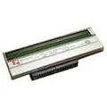 Zebra 203 dpi - Druckkopf - für Zebra ZT220 - ZT230